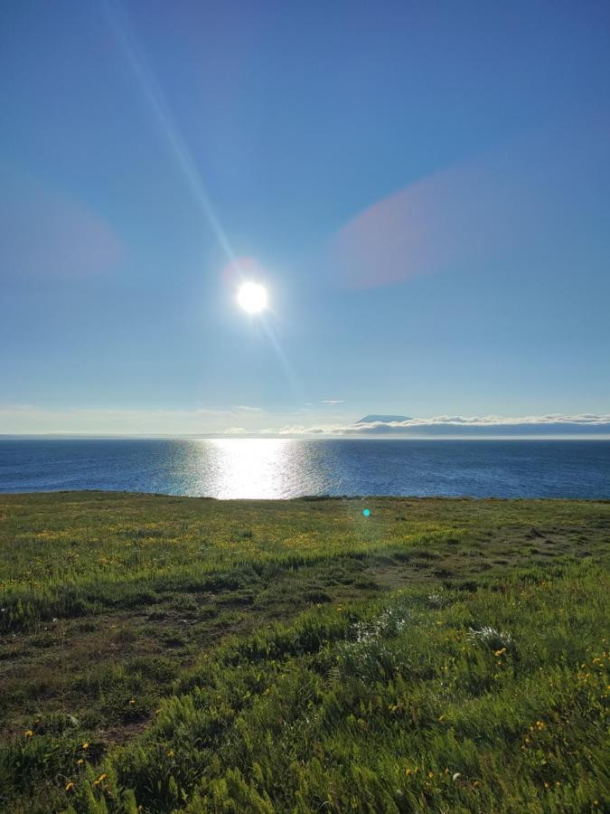 Happy-Cove Guesthouse - By The Sea Bakkafjorthur Exterior foto